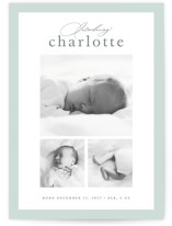 little gallery Birth Announcements