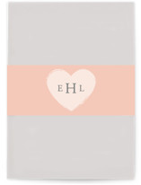 gingham baby Birth Announcement Belly Bands