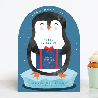 snow much fun Children's Birthday Party Invitations