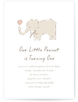 Children's Birthday Party Invitations