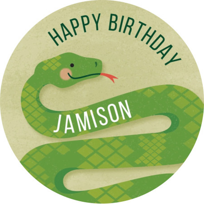 Slithering Snake Children's Birthday Party Stickers by Jessica Ogden ...