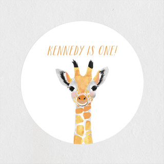 Baby Animal Giraffe Children's Birthday Party Stickers
