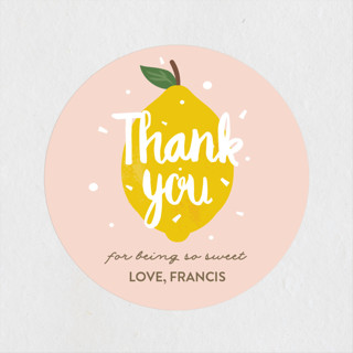 Lemonade Fun Children's Birthday Party Stickers