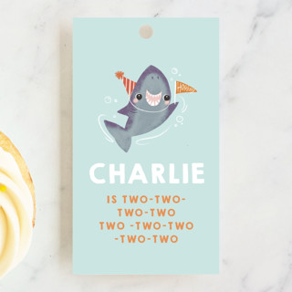 Snappy Birthday Children's Birthday Party Favor Tags