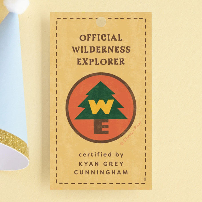 Disney and Pixar's Up Wilderness Adventure Children's Birthday Party