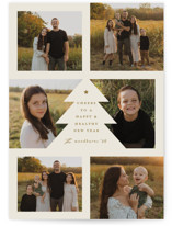 bountiful joy Christmas Photo Cards