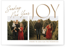Joyfully Duo Christmas Photo Cards