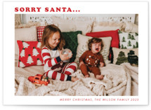 Sorry Santa by raven erebus