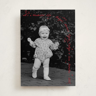 Merry Bunch Christmas Photo Cards