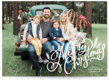 Soft and Merry Branches Christmas Photo Cards