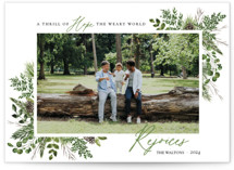 Hopeful World Christmas Photo Cards