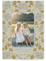 Christmas Poppies Christmas Photo Cards