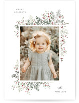 Pine & Berry Christmas Photo Cards