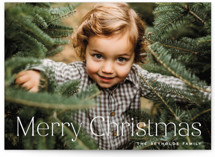 Merry Christmas Type Christmas Photo Cards