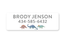Dinosaur Parade Custom Name Labels