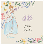 Disney's Cinderella Friendship Custom Stickers
