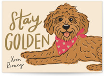 Stay Golden Classroom Valentine's Day Cards