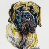 Watercolor Pet Portrait Commissioned Original Painting