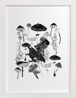 The Mushroom Fall
