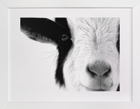 Pawnee Fine Art Prints