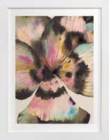 Bloom in Ink Fine Art Prints