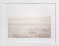 Just a Whisper Fine Art Prints