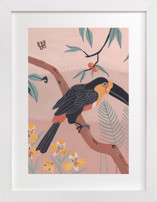 Tropic Toucan II Fine Art Prints