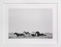 That Wild Dream Fine Art Prints