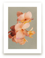 The Beauty Within by Paola Benenati