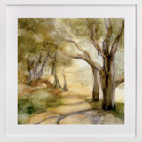 Dreamy Olive Trees