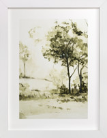 Sun Kissed Meadow 2 Fine Art Prints