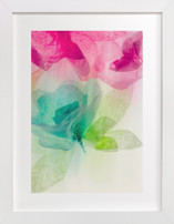 A Floral Dream I Fine Art Prints