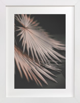 Copper Ferns 1 Fine Art Prints