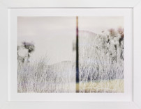 Joshua Tree Fine Art Prints