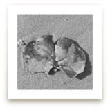 Don't Worry, Be Happy I... by Annie Seaton