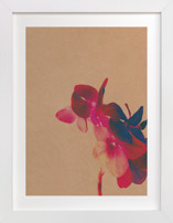 Quietly Present Fine Art Prints