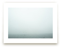 Birds Diving for Fish by Katie Buckman