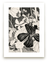 Campo De Malvas 1 by Catilustre