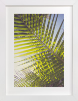 In the right place 1 Fine Art Prints