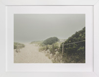 grey lady Fine Art Prints