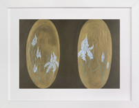No.13 Iris Fine Art Prints