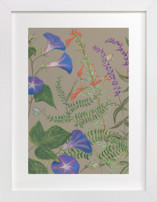 Wildflowers of Strawberry Creek Fine Art Prints
