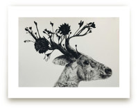 Flower Stag by Holly Hudson