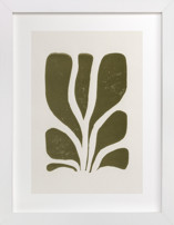 Growth II Fine Art Prints