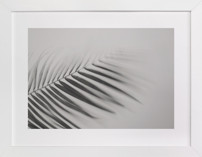 Sketching Breeze Fine Art Prints