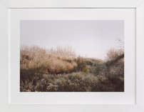 The Preserve Fine Art Prints