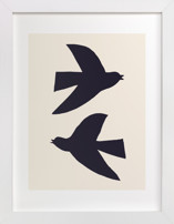 Birds