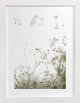 Choices Fine Art Prints