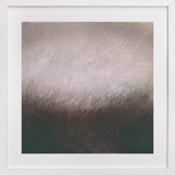 Creeping In Fine Art Prints