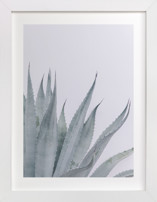 coastal vibes IV Fine Art Prints